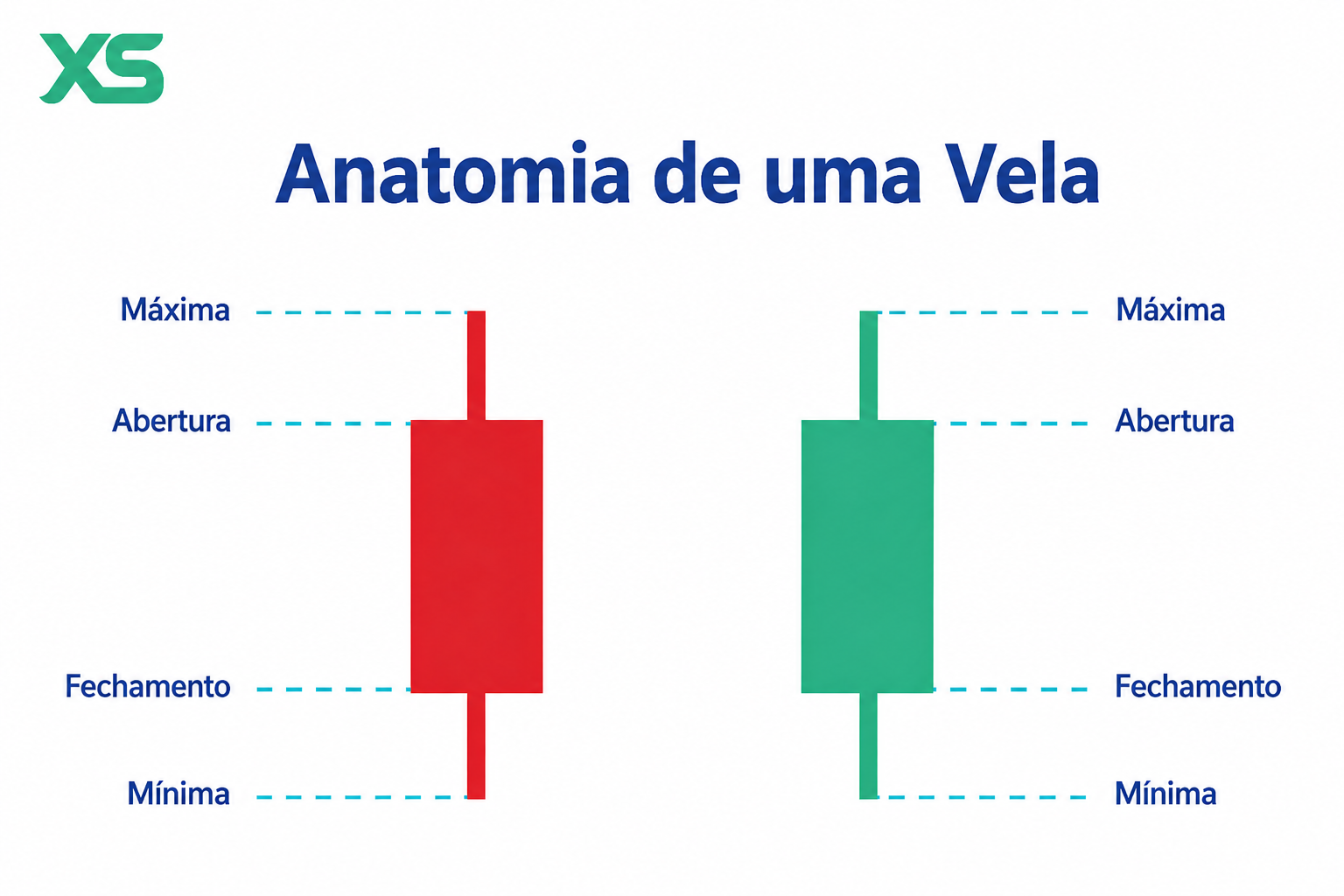 anatomia-vela-pt