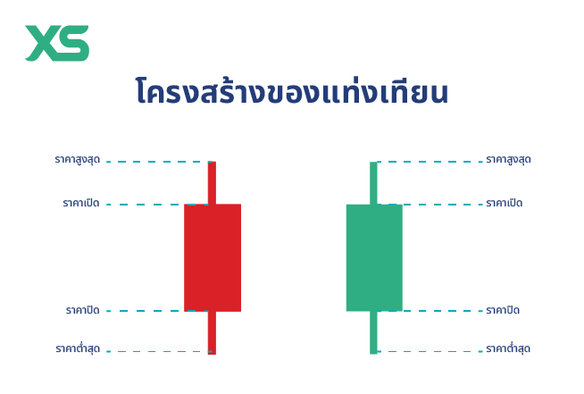 โครงสร้าง-กราฟแท่งเทียน