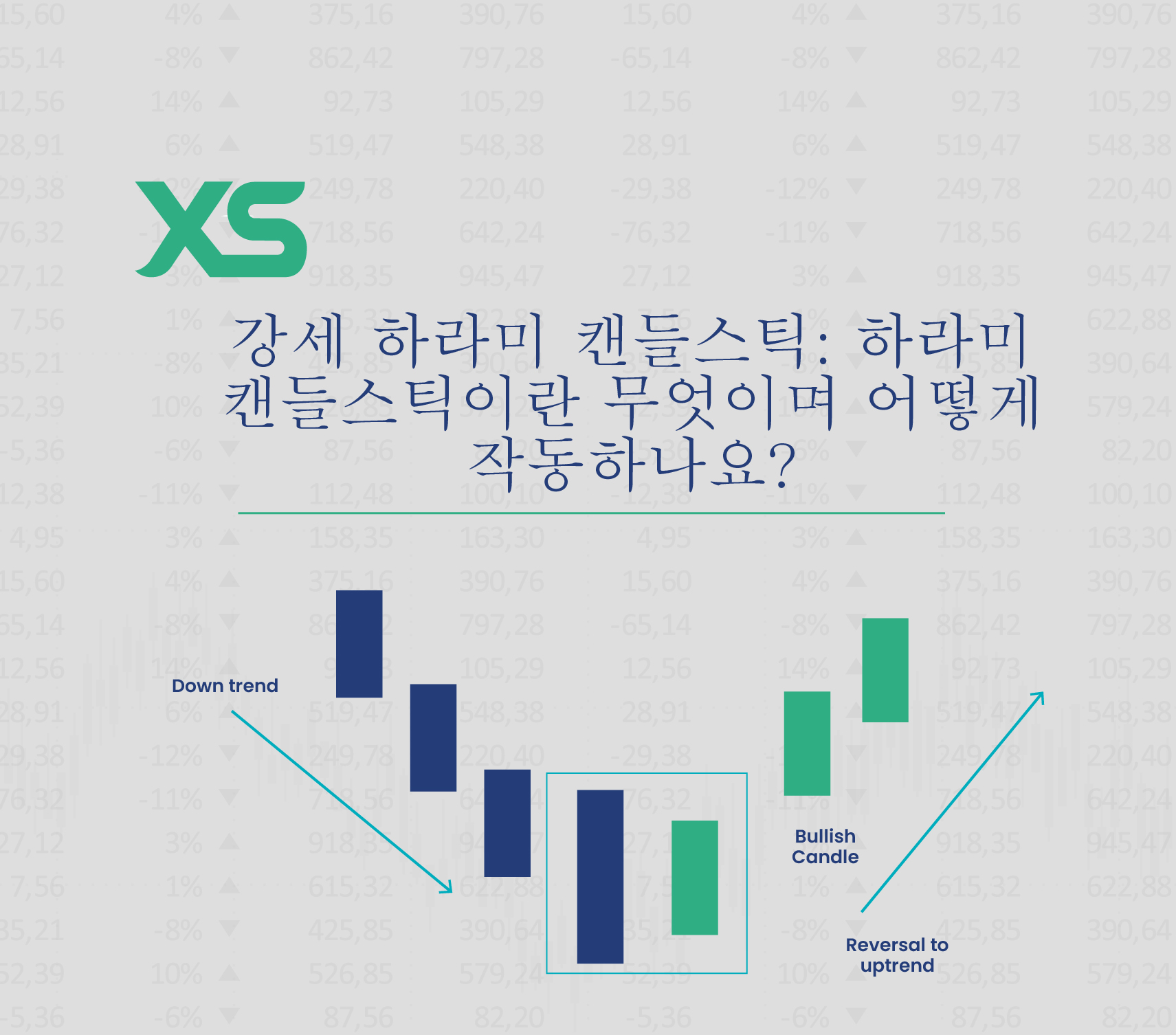 볼린저 밴드 완벽 가이드: 정의, 전략, 실전 활용법 -XS