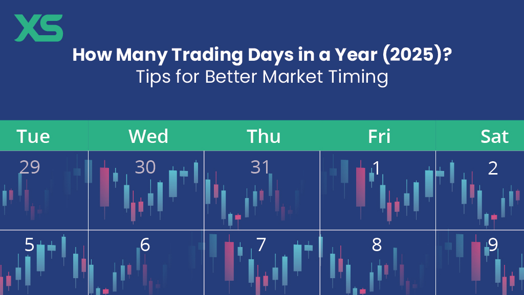 trading-days-year