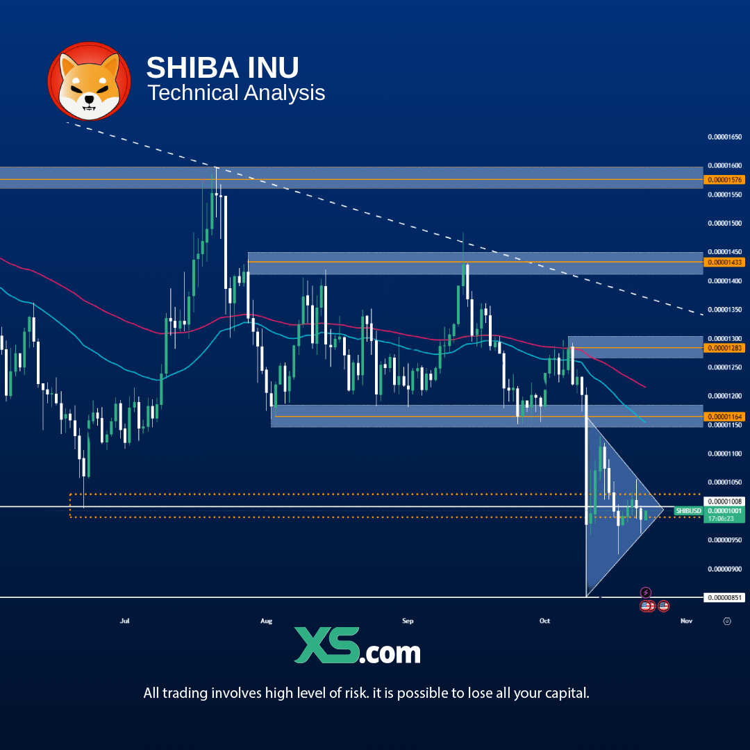 Chart_ShibaInu