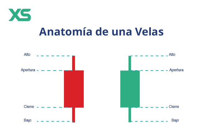 anatomia-velas