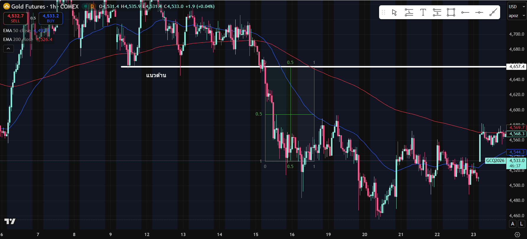 กลยุทธ์ตลาด-bearish