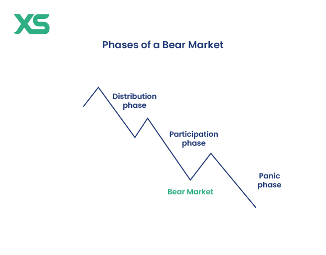 bear-market-phases