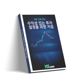 외환 거래 전략: 수익성 있는 투자 설정을 위한 지침